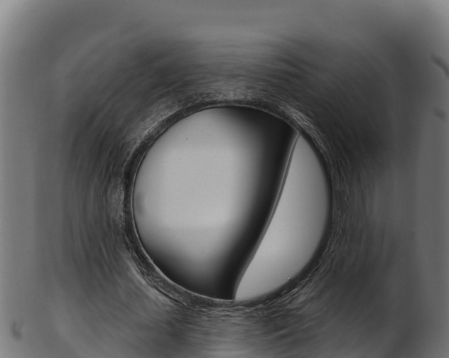 X0000103470627200809121120