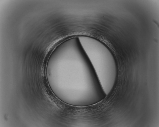 X0000103470628200809121120