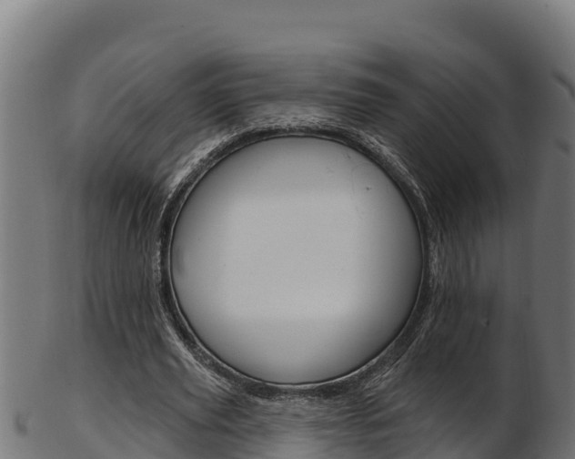X0000103470629200809121121
