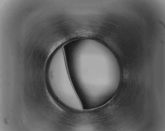 X0000103470630200809121121