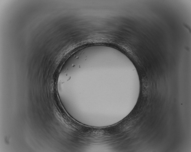 X0000103470631200809121121