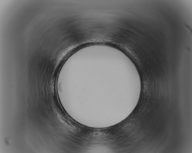 X0000103470632200809121121