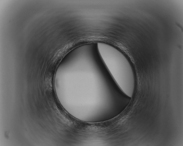 X0000103470633200809121121