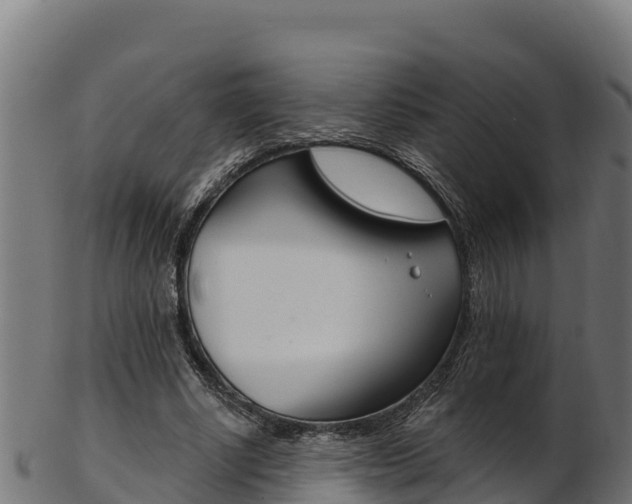 X0000103470634200809121121