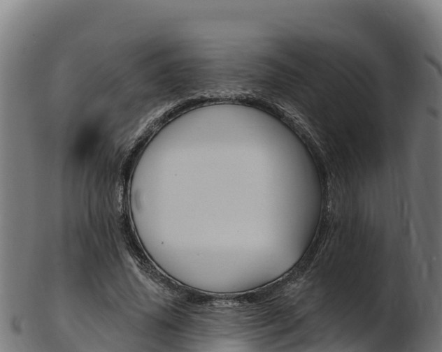 X0000103470636200809121121