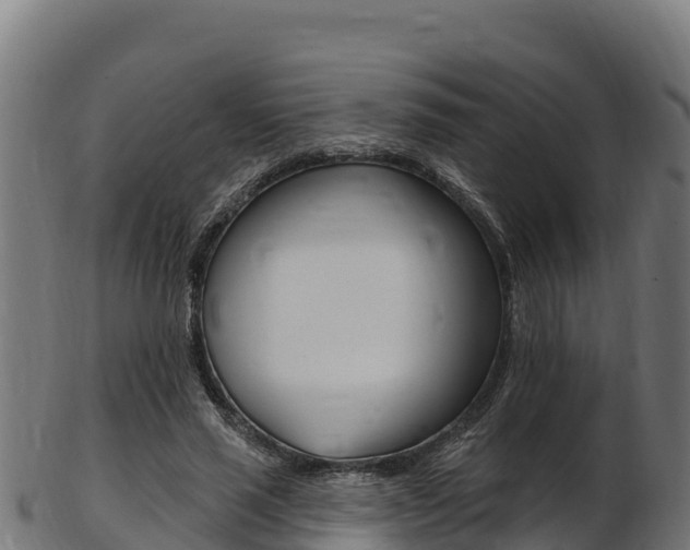 X0000103470637200809121121