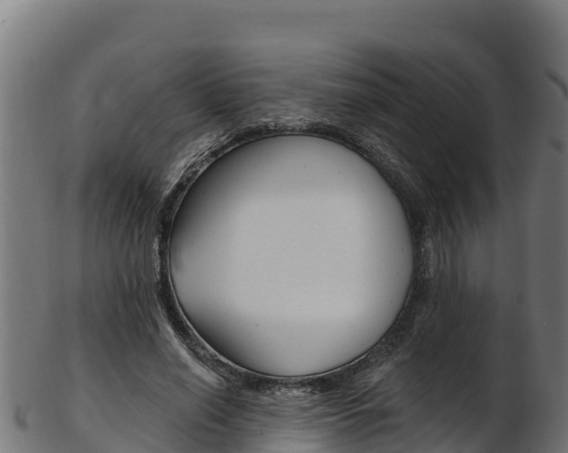 X0000103470638200809121121