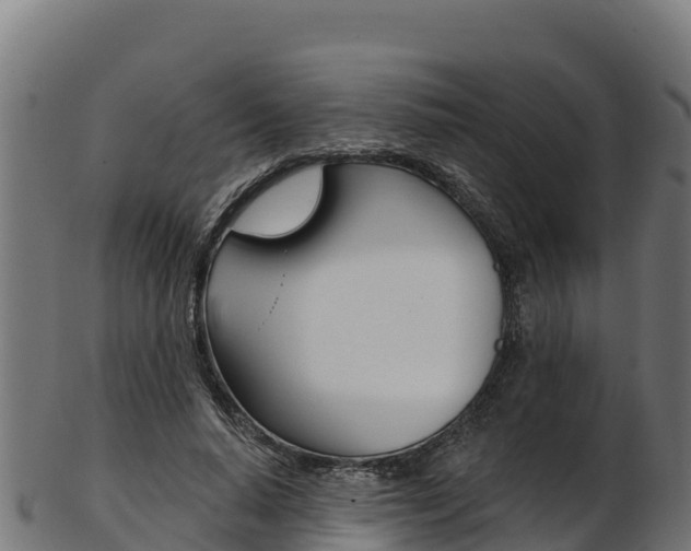 X0000103470640200809121121