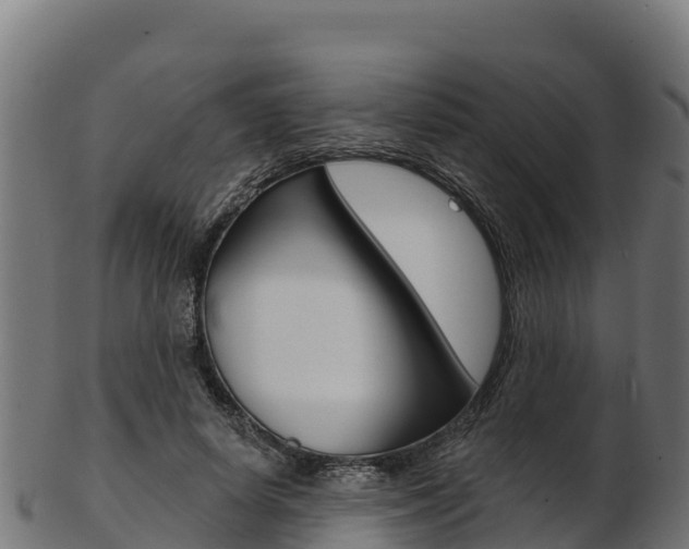 X0000103470642200809121121