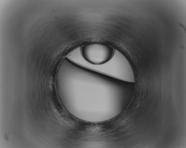 X0000103470643200809121121