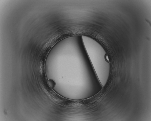 X0000103470644200809121121