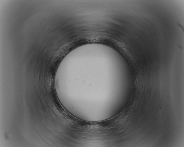 X0000103470645200809121121
