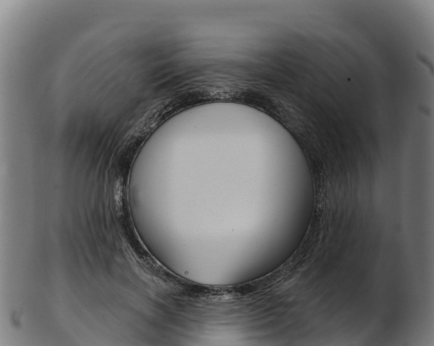 X0000103470646200809121121
