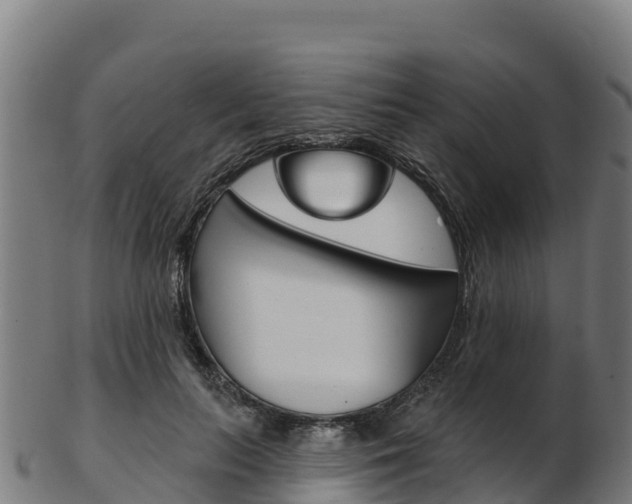 X0000103470647200809121121