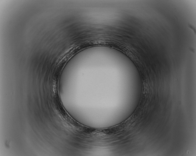 X0000103470648200809121121