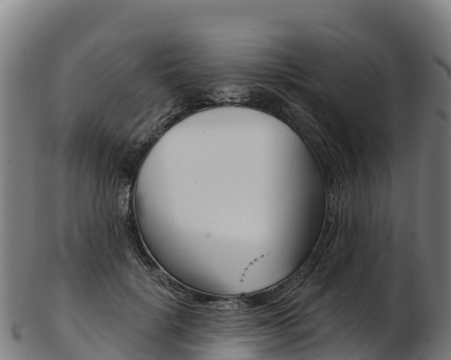 X0000103470652200809121121