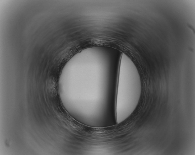 X0000103470653200809121121