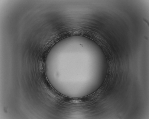 X0000103470654200809121121