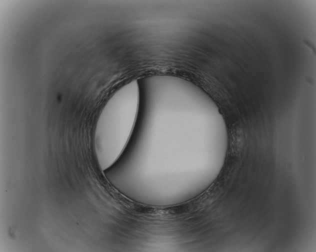 X0000103470656200809121121