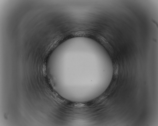 X0000103470669200809121121