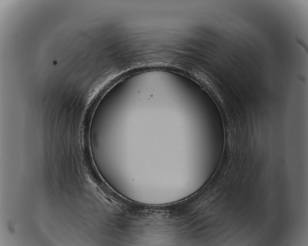 X0000103470676200809121120