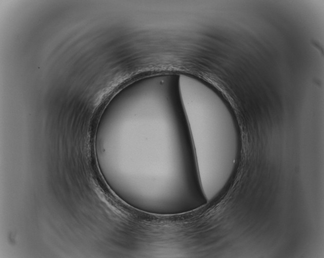X0000103470677200809121120