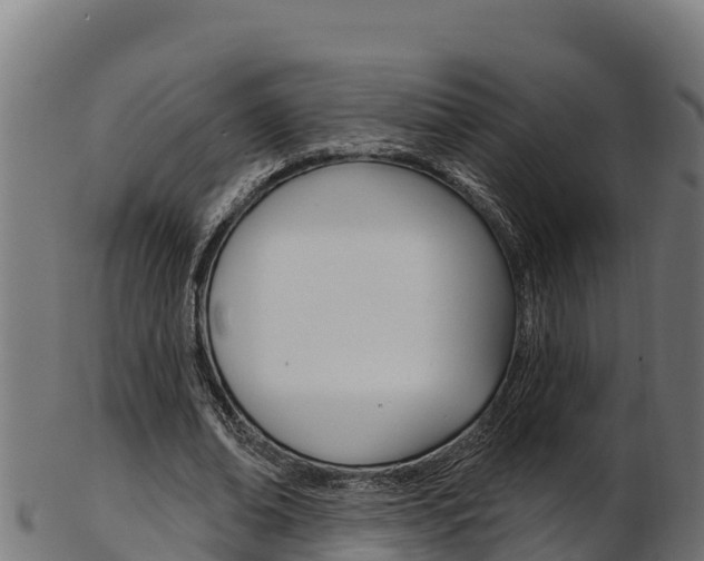 X0000103470678200809121120