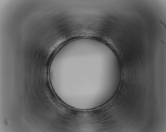 X0000103470679200809121120
