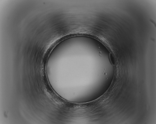 X0000103470680200809121120