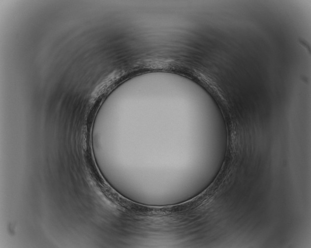X0000103470682200809121120