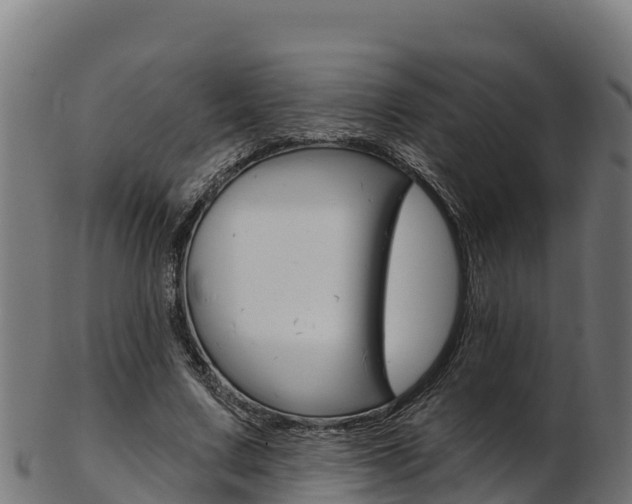 X0000103470683200809121120