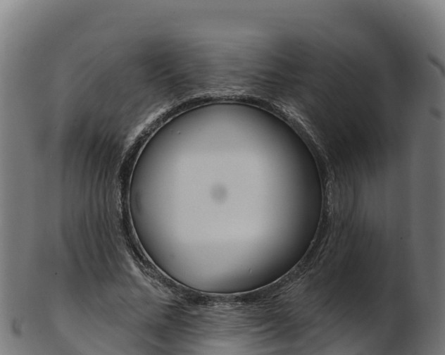 X0000103470684200809121120