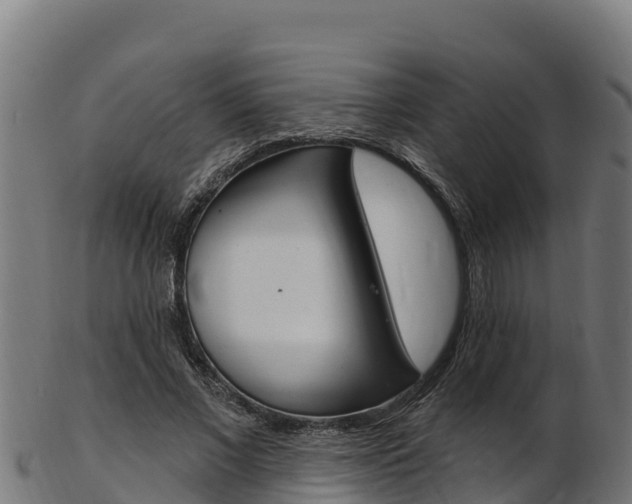 X0000103470685200809121120