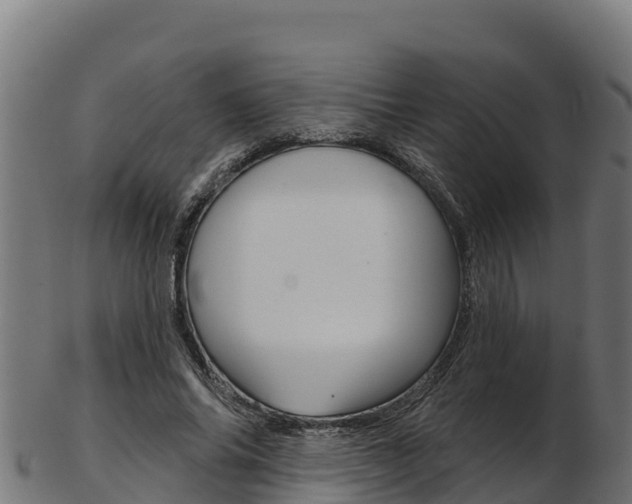 X0000103470686200809121120