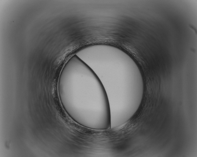 X0000103470687200809121120