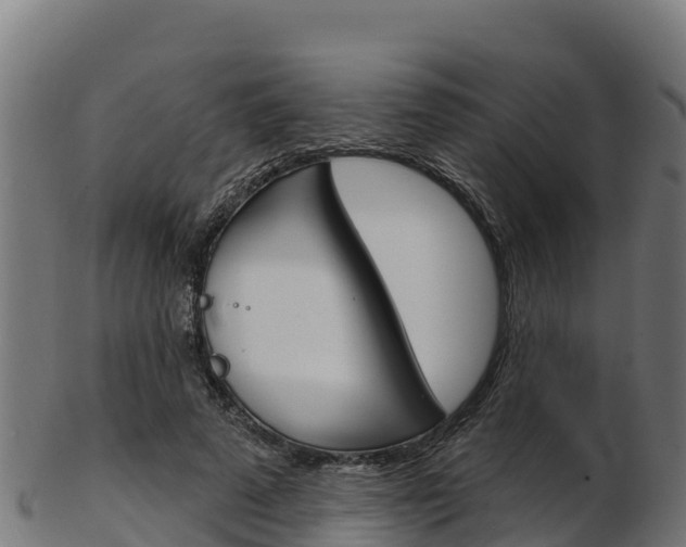 X0000103470689200809121120