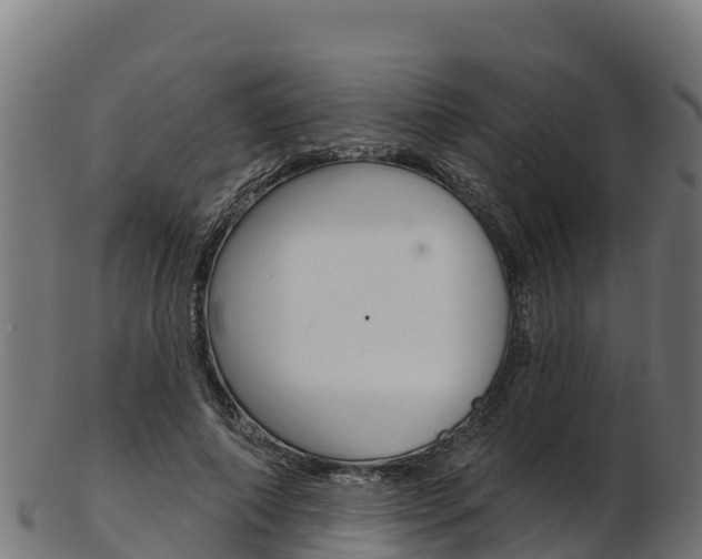 X0000103470690200809121120