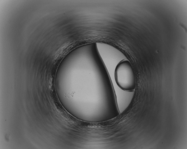 X0000103470693200809121120