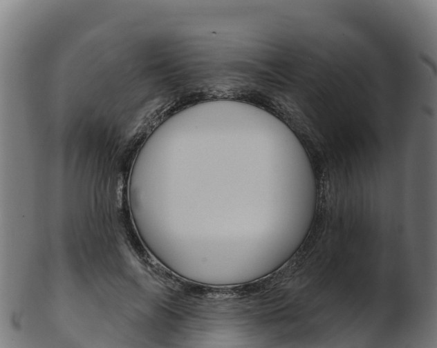 X0000103470694200809121120