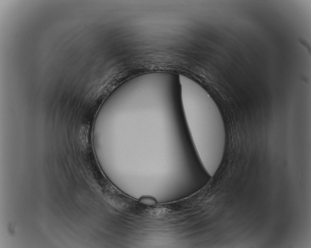 X0000103470695200809121120