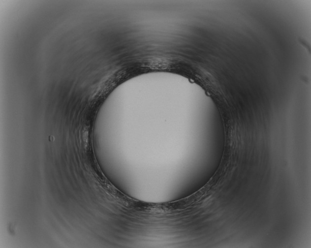 X0000103470697200809121120