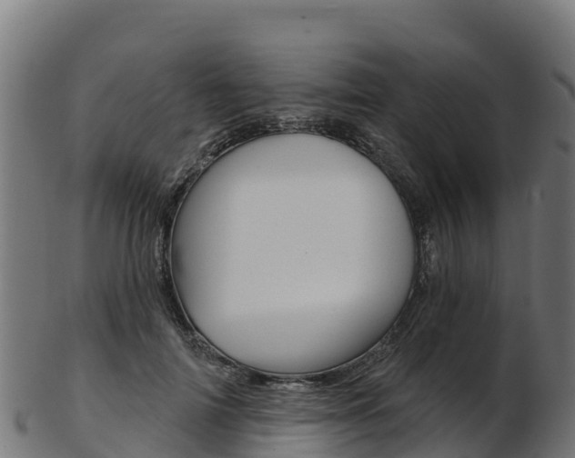 X0000103470698200809121120