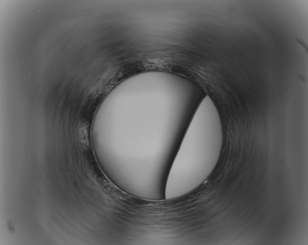X0000103470699200809121120