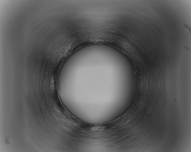 X0000103470700200809121120