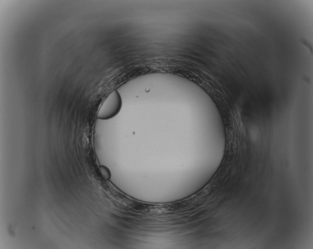 X0000103470702200809121120