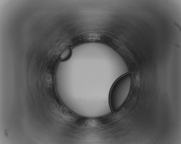 X0000103470704200809121120