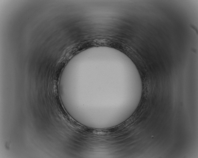 X0000103470706200809121120