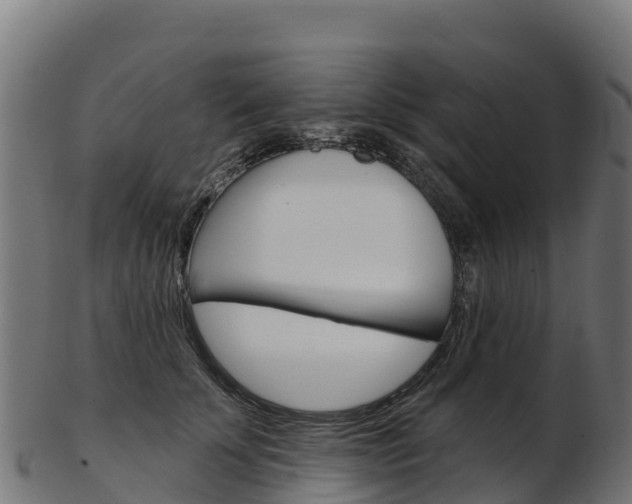 X0000103470707200809121120