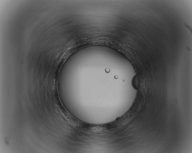 X0000103470708200809121120