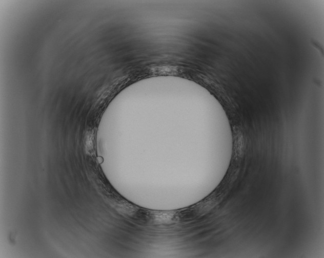 X0000103470709200809121120